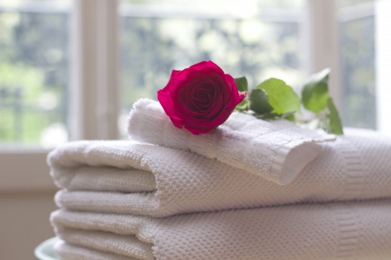 chambre-hote-CARQUEIRANNE-min_towel_rose_clean_care_salon_spa_white_bath-731641